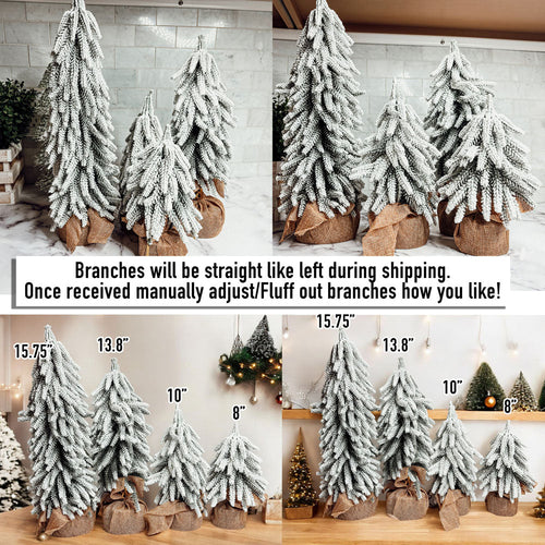 Snow Christmas Trees NEW